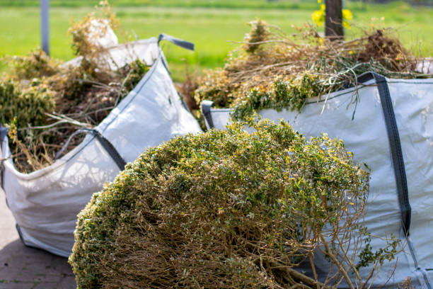 Best Yard Waste Removal  in Greenville, TX